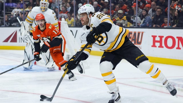Bruins Ducks Hockey 
