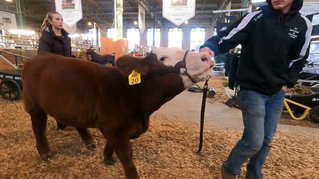 630p-pkg-beef-expo-wccobhk3-1.jpg 
