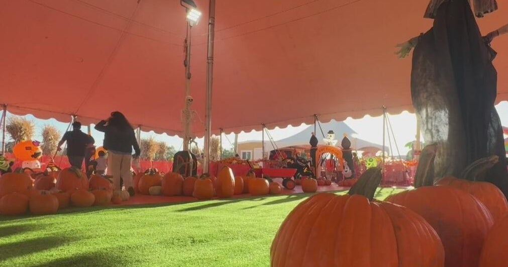 Bay Area families ready to enjoy fall activities welcome weather cooldown