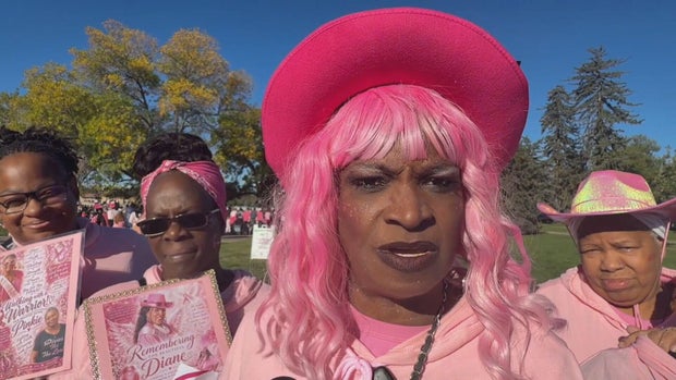 more-than-pink-walk-5sot-frame-260.jpg 