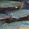 Nature: Arctic grayling in Michigan