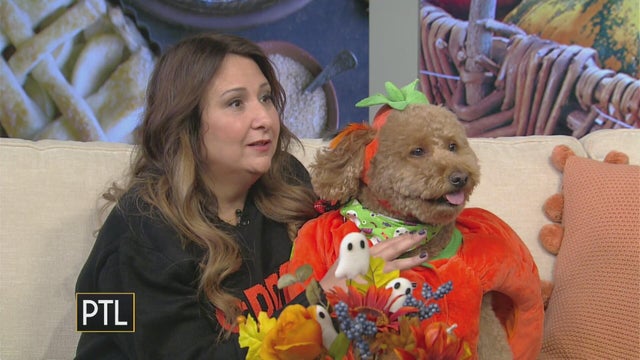 Straight to the point: Dogs and Halloween safety with Edgar Snyder and Associates