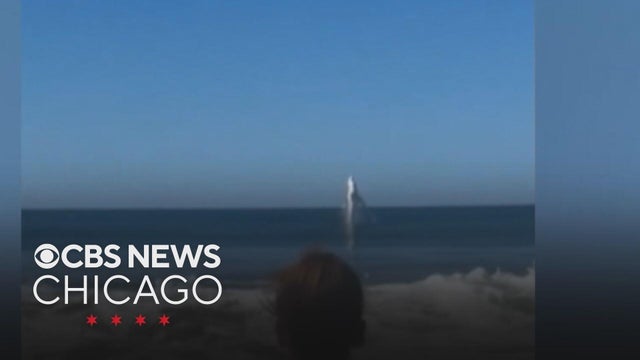 Great white shark photobombs beachgoers in California