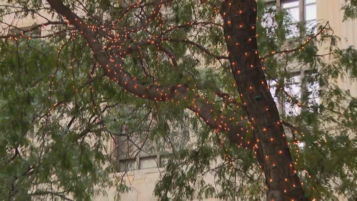 It's only October, but holiday lights are going up in Chicago's Daley ...