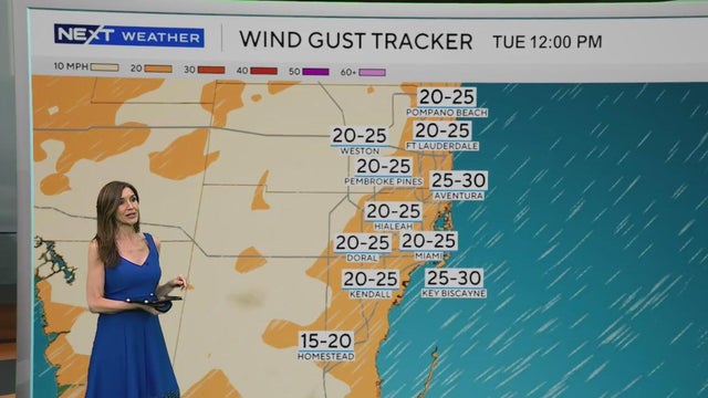 7-day-gusts-forecast.png 