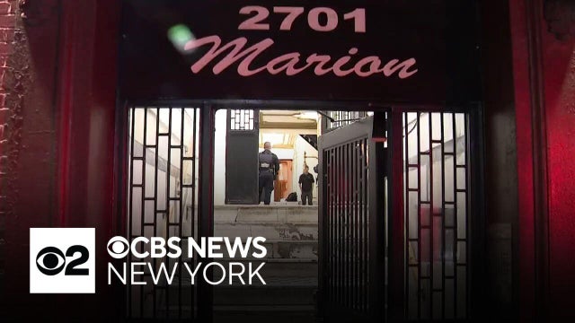 Authorities discover alleged cannabis grow house in the Bronx