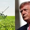 Trump announces $8 billion relief money for farmers but their huge economic concerns linger