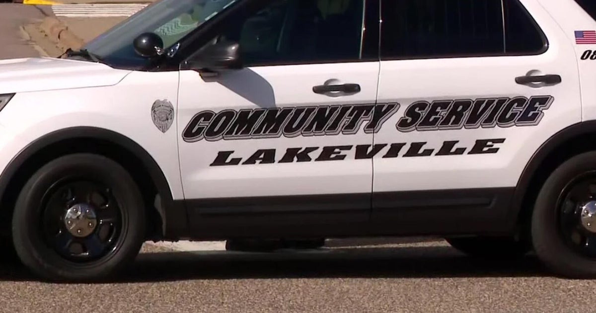 Lakeville man convicted of murdering sister, her unborn child in 2024