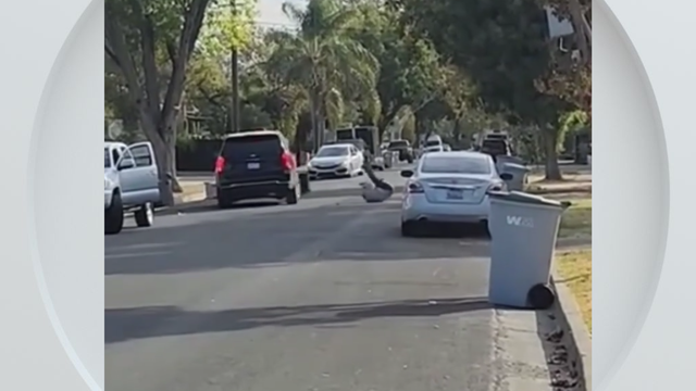 alleged-ice-pedestrian-collision-woodland.png 