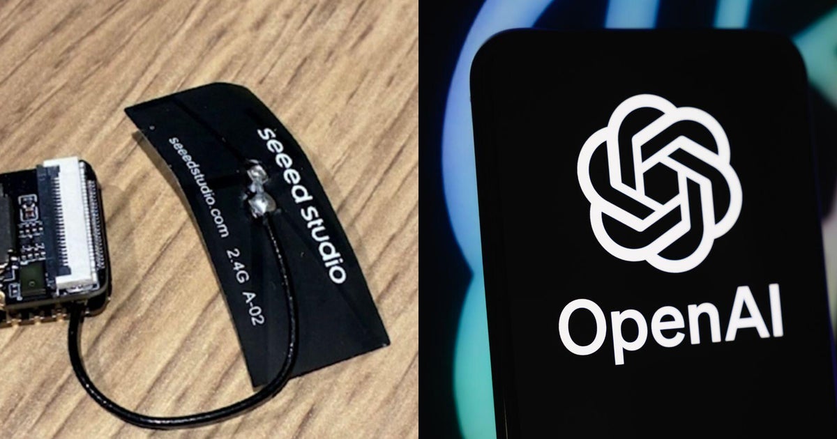 What we know about an accused OpenAI spy's alleged connection to Saudi royals