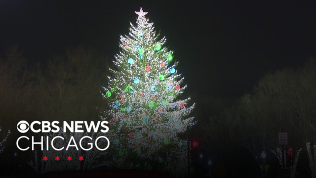 Chicago still accepting submissions for official 2026 Christmas tree