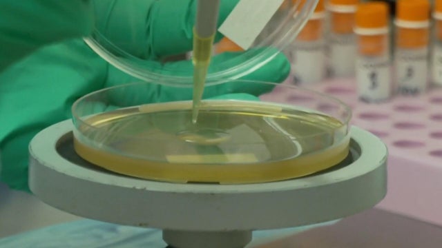 We tested vials sold as weight loss drugs
