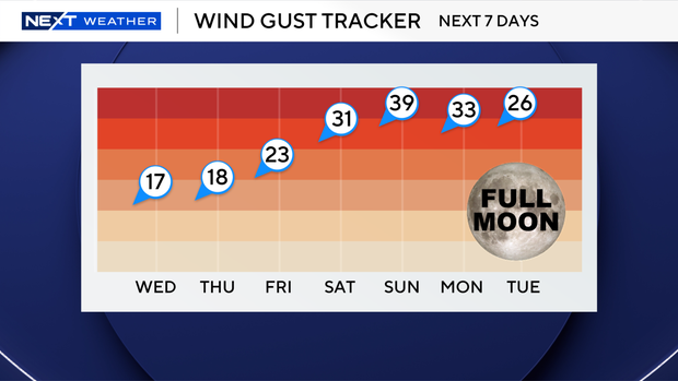 7-day-gusts-forecast.png 