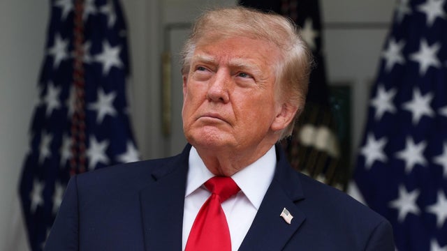Immigration operations' impact on midterms