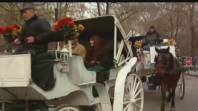 NYC Council votes to end horse-drawn carriage rides in Central Park