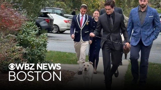 Influencer Clavicular brings dog to court, pleads not guilty to rape on Cape Cod