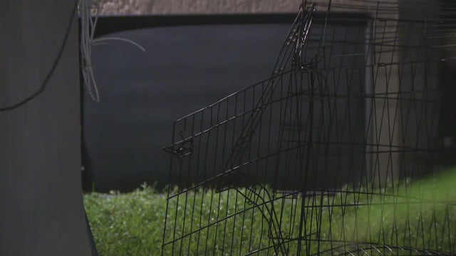 911 call captures frantic report of dog chasing, biting children in Miami