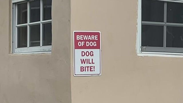 Dog who bit girl in northwest Miami-Dade taken into Animal Services custody