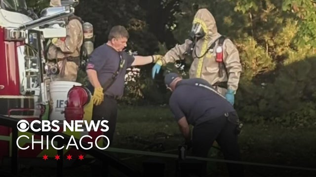 Lemont homeowner charged after police find 76 dogs living in home and garage