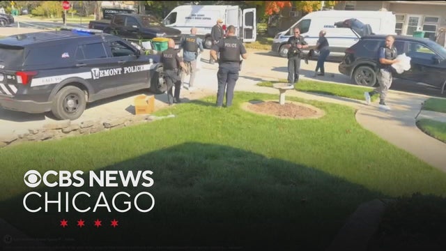 Over 70 dogs rescued from Lemont hoarding situation