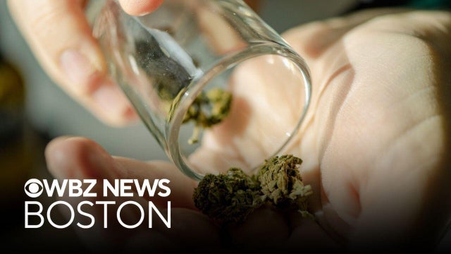 Full debate on Mass. ballot Question 8, which could repeal marijuana legalization