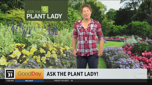 Marlene the Plant Lady 7am
