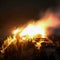 German police arrest suspect following fire at Hitler's Eagle's Nest