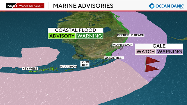 tropical-marine-hazards.png