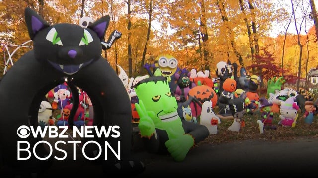 Worcester man's massive Halloween display raises money for charity