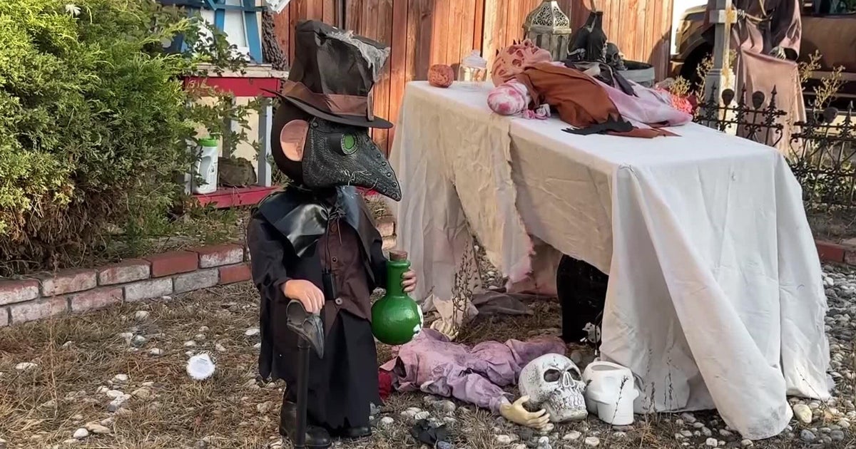 Halloween decorations worth roughly $700 stolen from San Leandro home