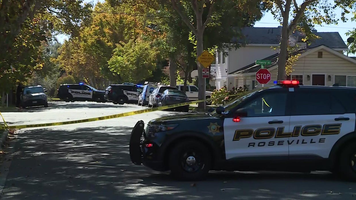 Woman arrested following Roseville domestic disturbance, police ...