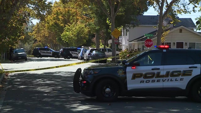 Roseville police standoff, Irene Avenue 