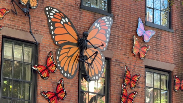 Beacon Hill Halloween 