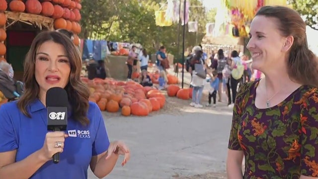 Fall vibes at the Dallas Arboretum as rain builds up in the forecast