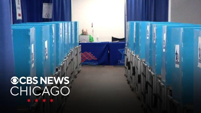 What are some of the referenda Illinois voters will see on their ballots on Election Day?