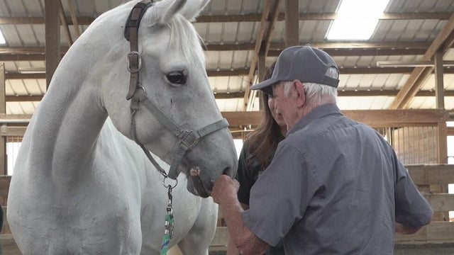 Pleasanton horse ranch leads guided interactions for seniors with memory issues