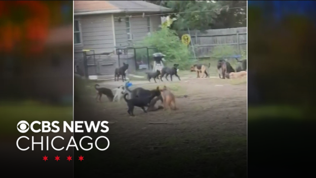 Village of Lemont to possibly create ordinance to regulate number of allowed animals inside home