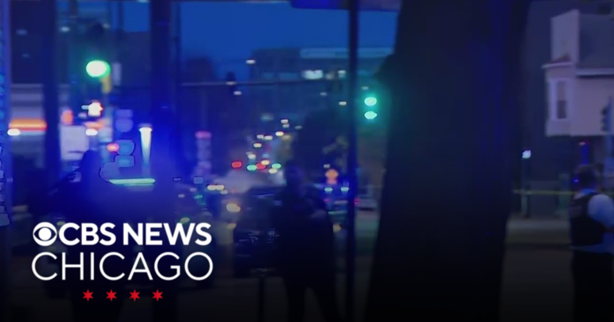 Large police presence after person shot in Pilsen neighborhood - CBS ...