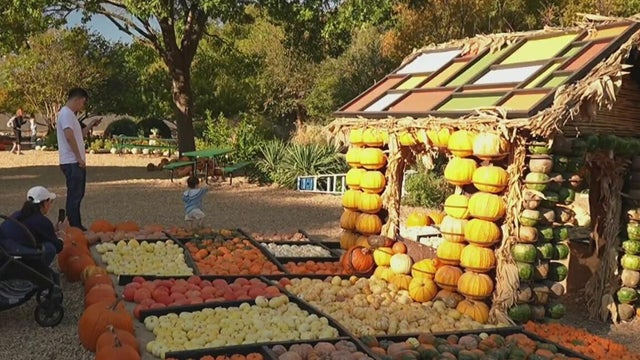 Autumn at the Arboretum welcomes fall, Halloween to North Texas