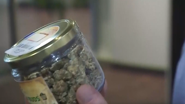 cannabis.png 