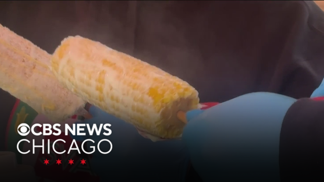 Chicago street vendors rally against restrictive regulation