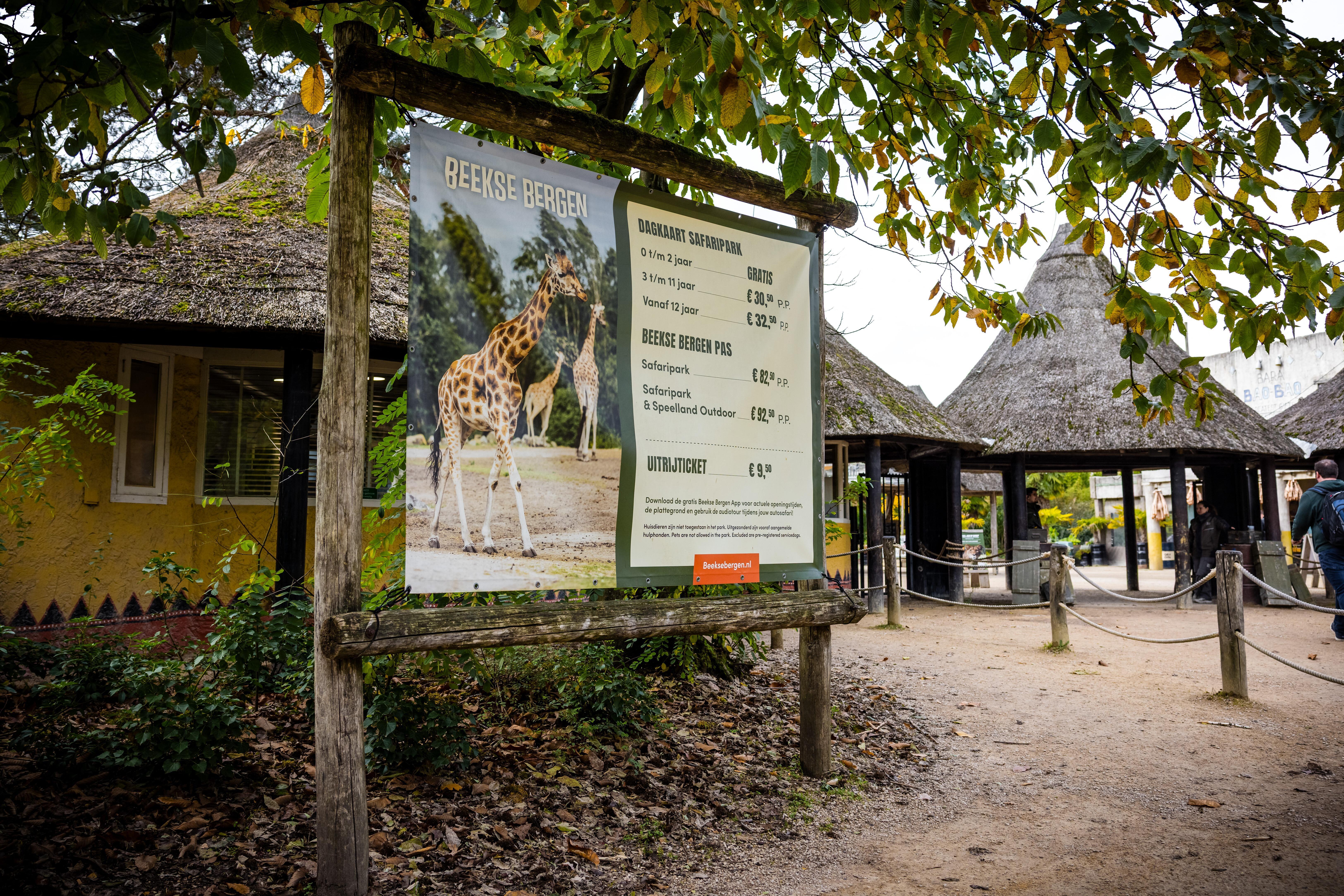 Zookeeper dies after being attacked by leopard, safari park says