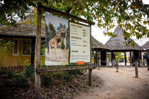NETHERLANDS-ANIMAL-ZOO-ACCIDENT