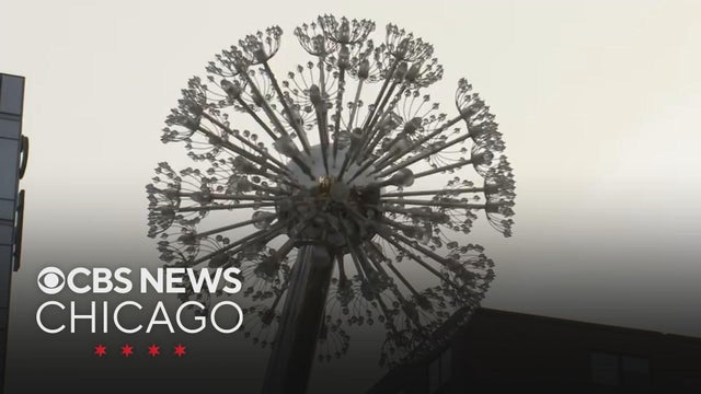 COVID-19 memorial monument unveiled in Illinois Medical District on Near West Side of Chicago