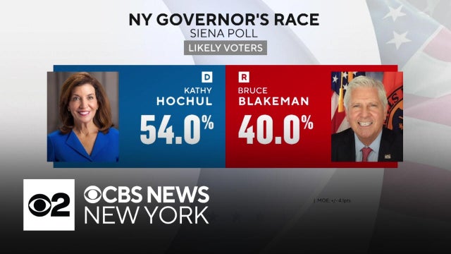 New York governor's race polls spark debate