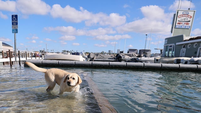 High tides on the Newport Beach peninsula 