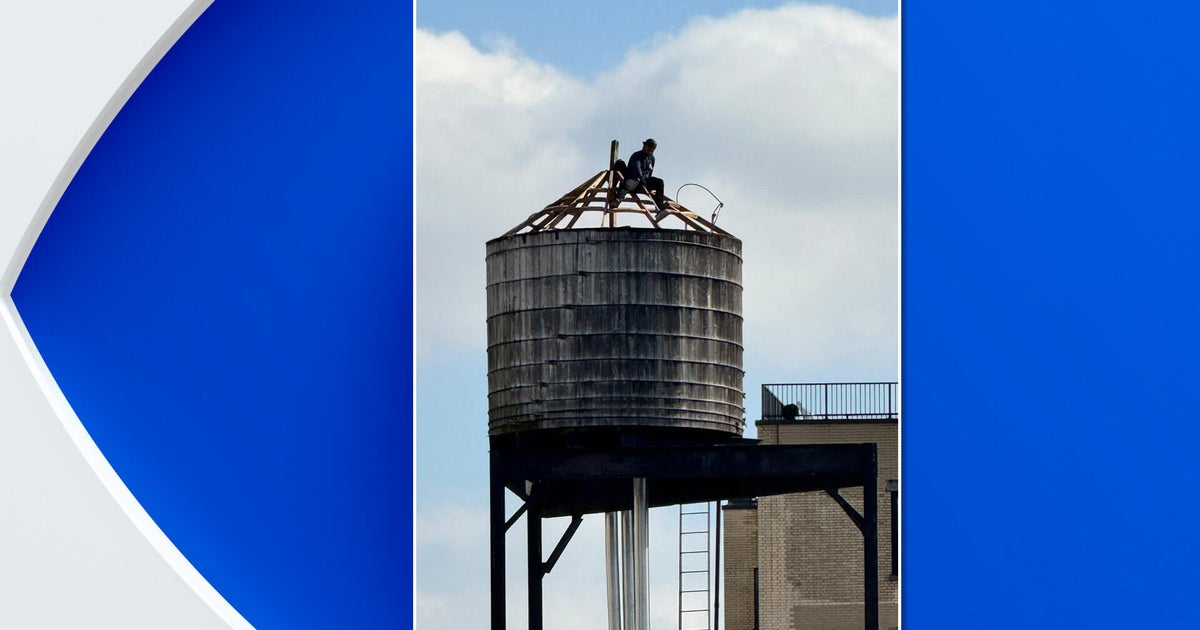 Construction spotted on UWS water tower that had been home to barn owls