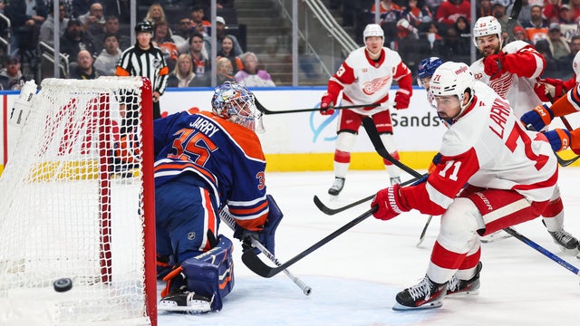 Red Wings Oilers Hockey 