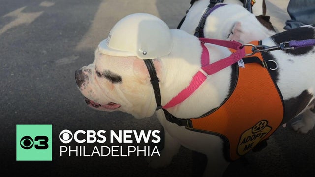 Philadelphia Animal Welfare Society breaks ground on new facility
