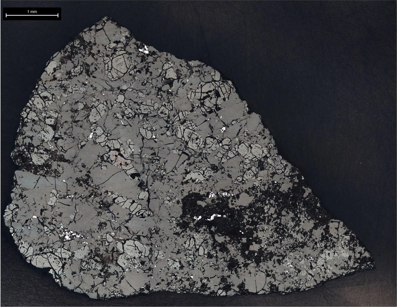 A slice of Martian meteorite Teghaza 001. The slice was used to study its mineralogy and chemistry. NASA/JPL-Caltech